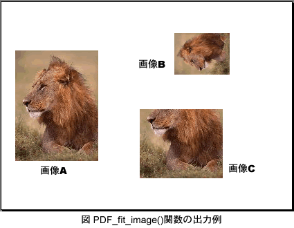 図 PDF_fit_image()関数の出力例